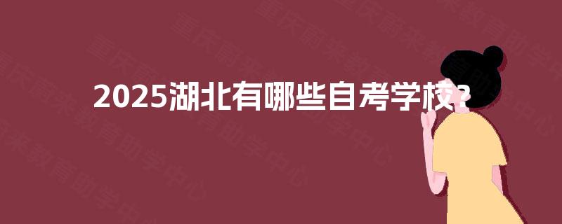 2025湖北有哪些自考学校？