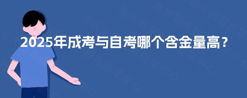 2025年成考与自考哪个含金量高？