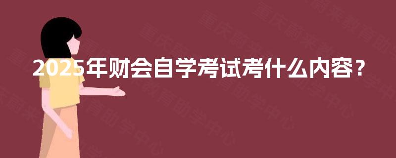 2025年财会自学考试考什么内容？