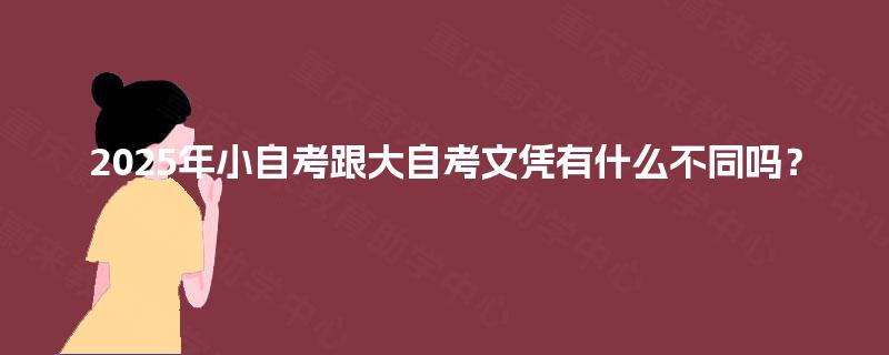 2025年小自考跟大自考文凭有什么不同吗? 2025年小自考跟大自考文凭有什么不同吗?