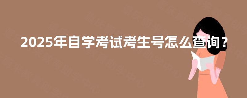 2025年自学考试考生号怎么查询？