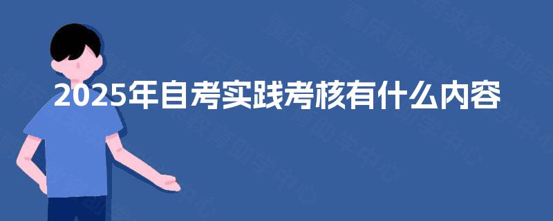 2025年自考实践考核有什么内容
