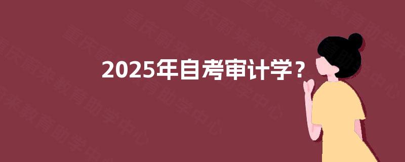 2025年自考审计学? 2025年自考审计学?