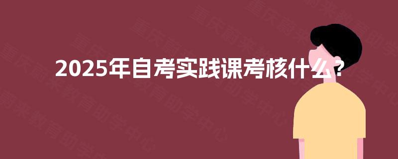 2025年自考实践课考核什么? 2025年自考实践课考核什么?