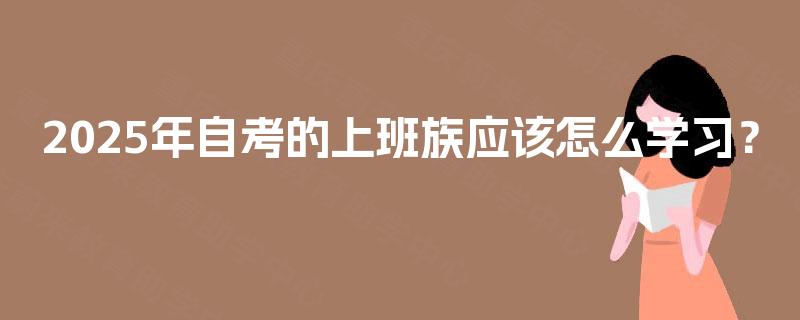 2025年自考的上班族应该怎么学习？