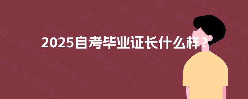 2025自考毕业证长什么样？