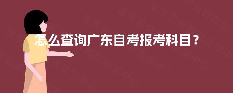 怎么查询广东自考报考科目？