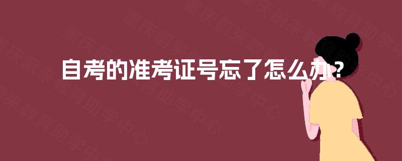 自考的准考证号忘了怎么办？