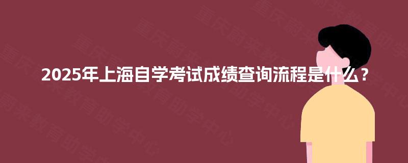 2025年上海自学考试成绩查询流程是什么？
