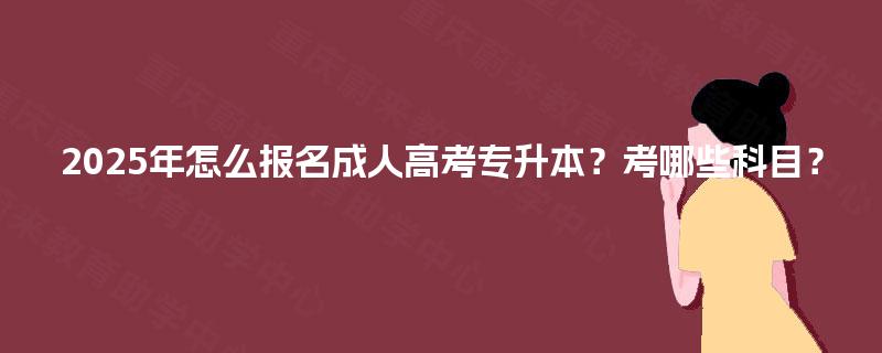 2025年怎么报名成人高考专升本？考哪些科目？