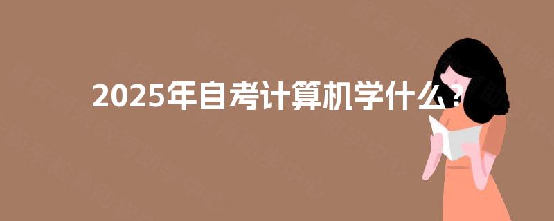 2025年自考计算机学什么？