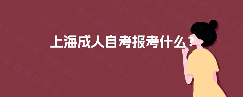 上海成人自考报考什么？