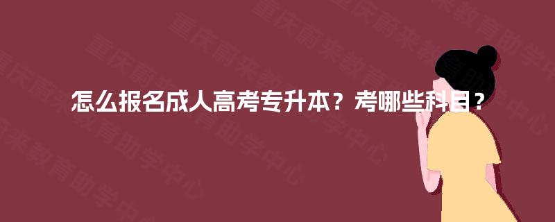 怎么报名成人高考专升本？考哪些科目？