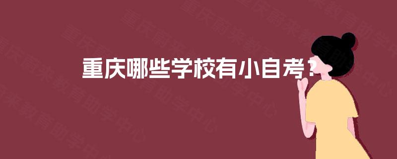 重庆哪些学校有小自考？