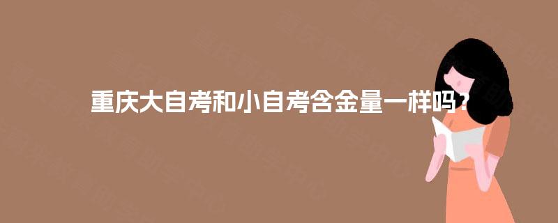 重庆大自考和小自考含金量一样吗? 重庆大自考和小自考含金量一样吗?