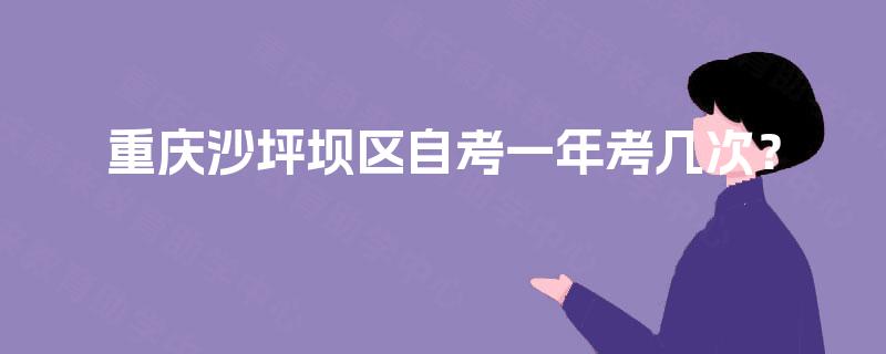 重庆沙坪坝区自考一年考几次？