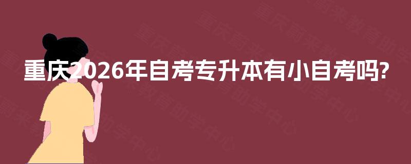 重庆2026年自考专升本有小自考吗? 重庆2026年自考专升本有小自考吗?