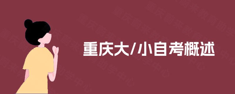重庆大/小自考概述