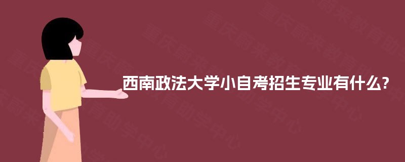 西南政法大学小自考招生专业有什么?