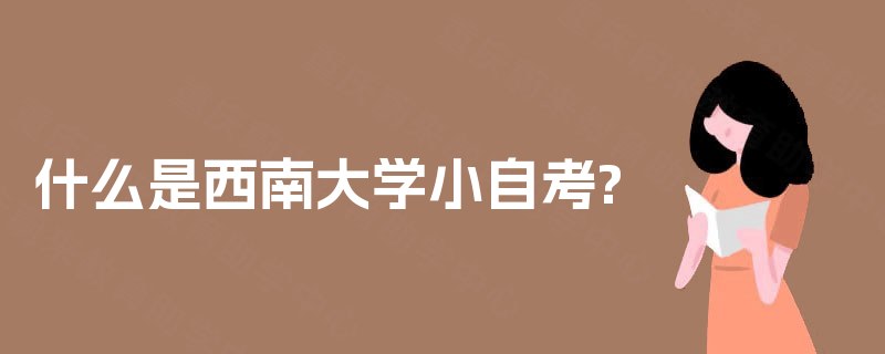 什么是西南大学小自考?